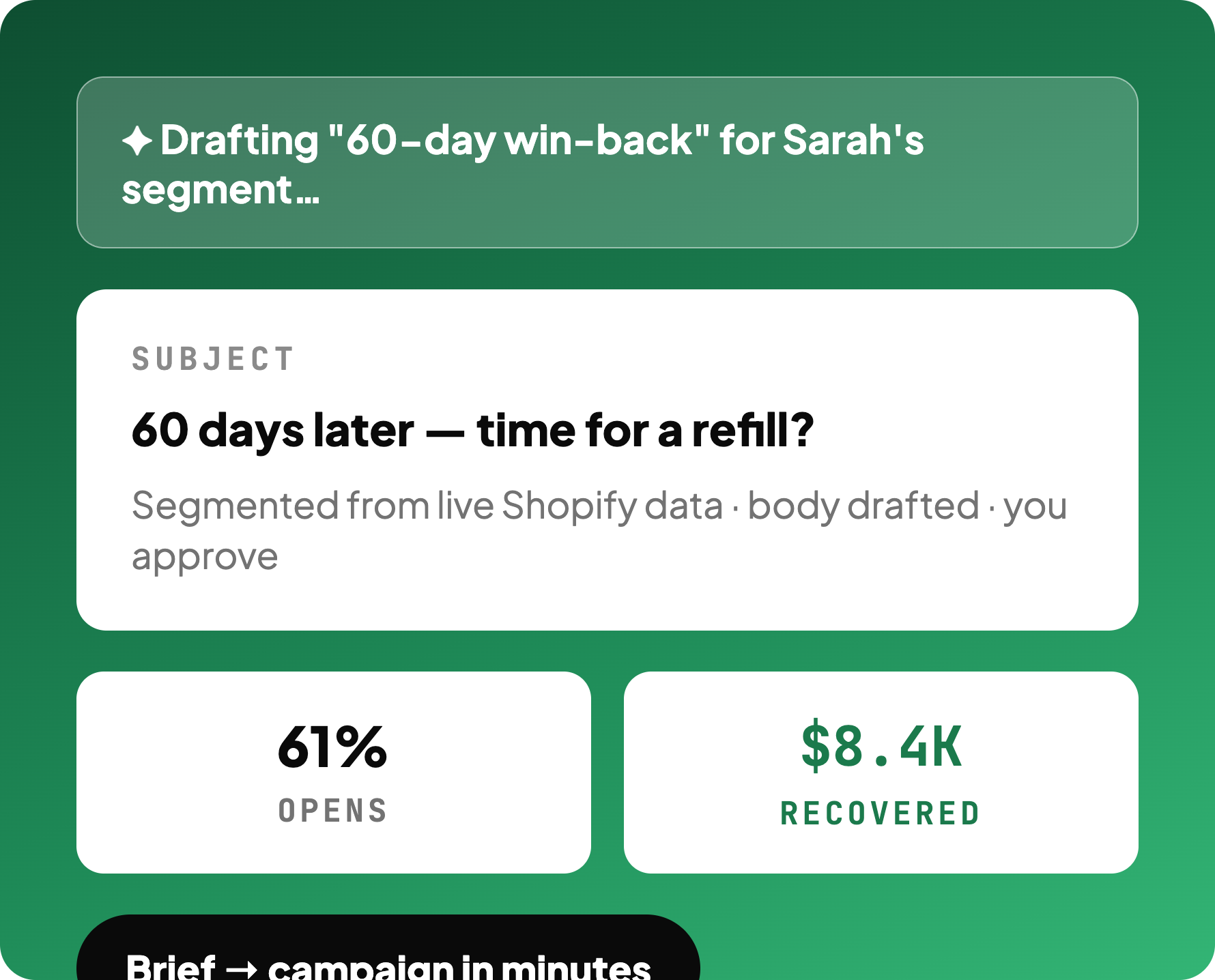 Shopify email marketing, drafted by AI
